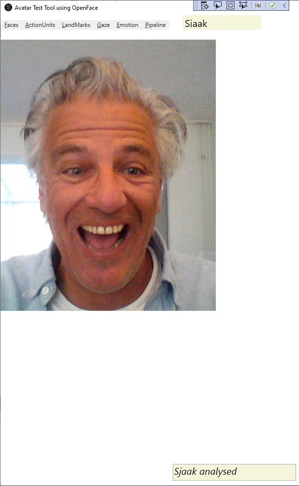 Gezicht met analyse