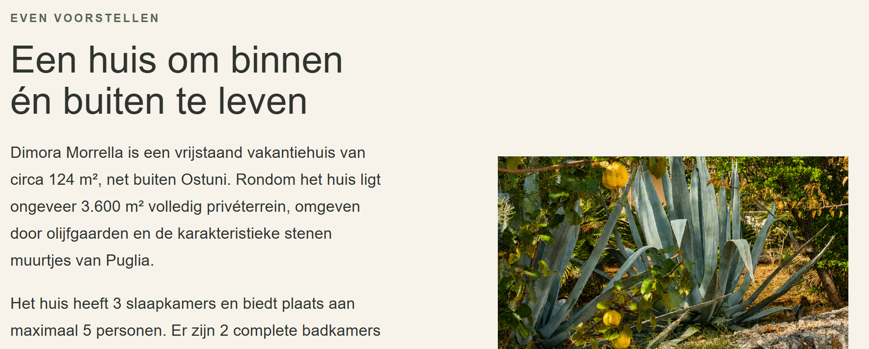 Pagina Het huis van Dimora Morrella